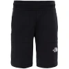 The North Face Shorts Jr. -Kopenhaken shop 14111999 9714