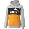 Puma Colorblock Sweatshirt Jr -Kopenhaken shop 22102493 14232