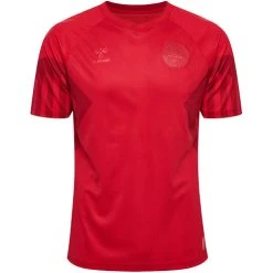 Hummel DBU 22 T-shirt