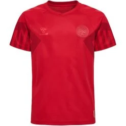 Hummel DBU 22 T-shirt Jr